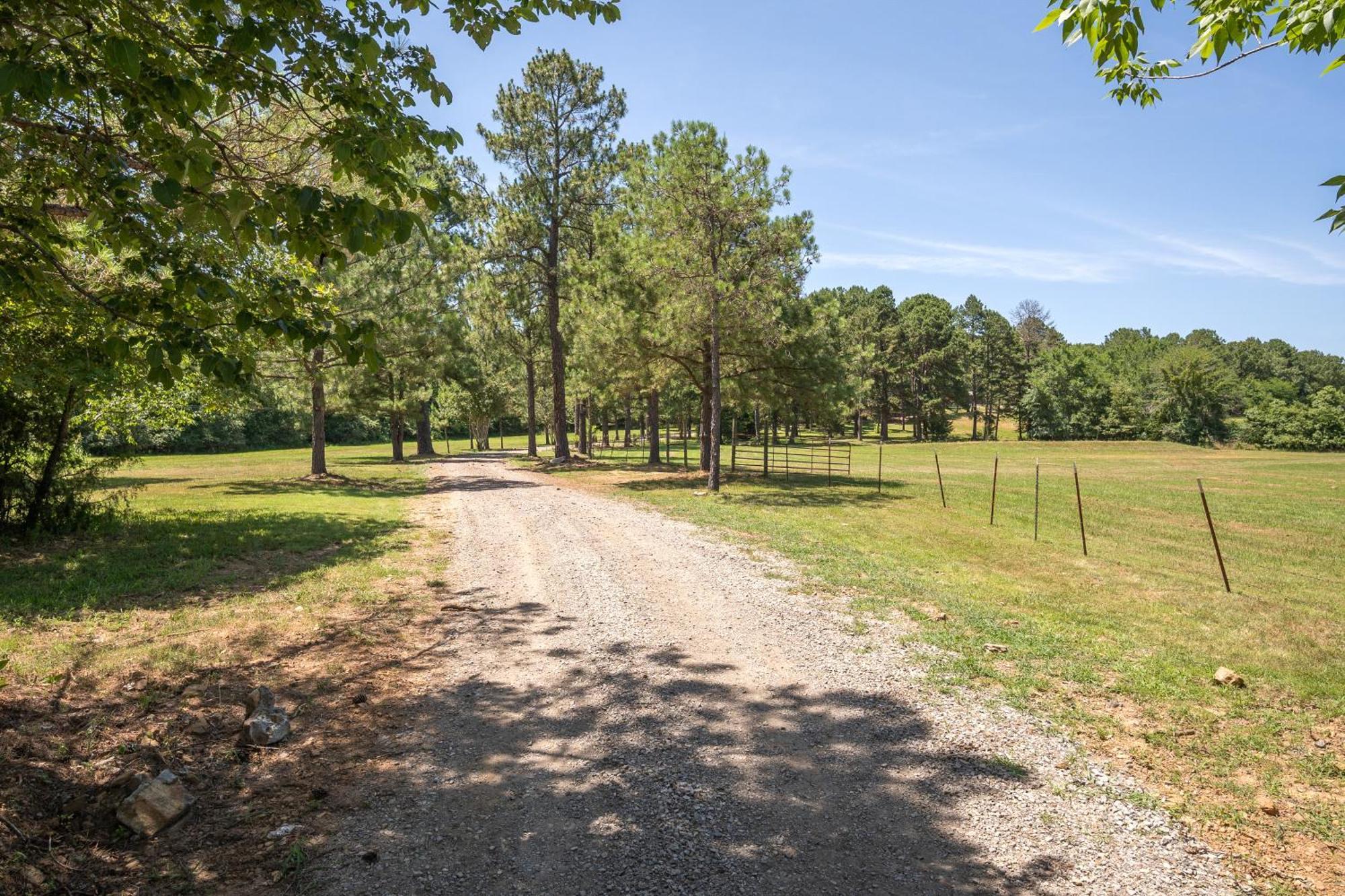 Spring Hill Farm - The Velvet Rooster Villa Alma Exterior photo
